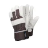 55 6-Pack*Tegera Outlet