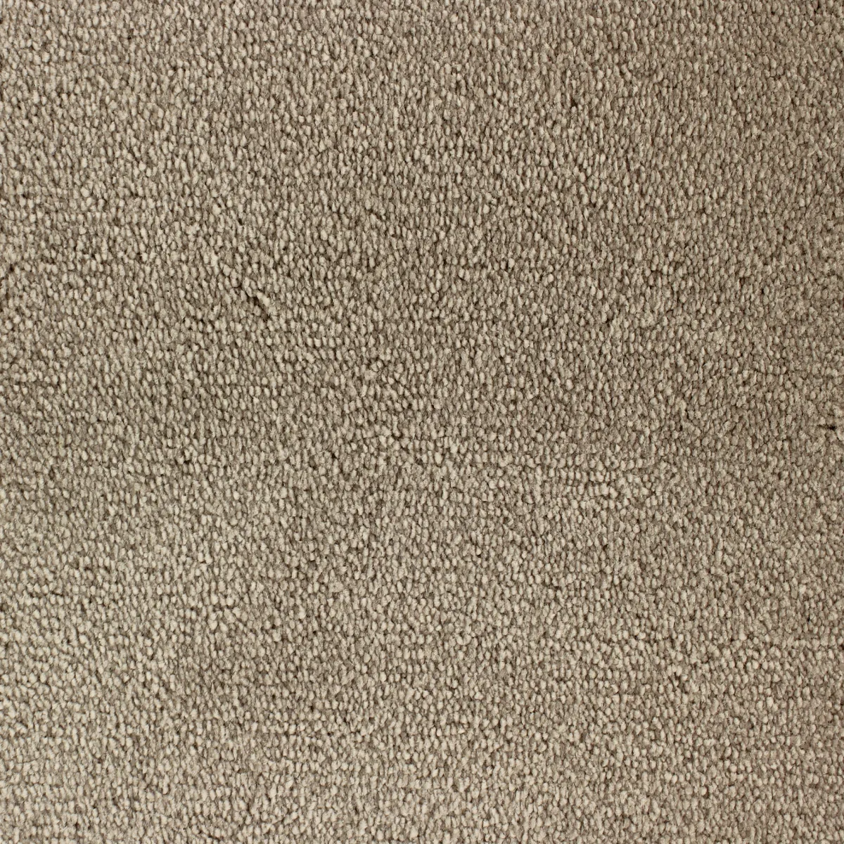 Palace*Fibertrone New