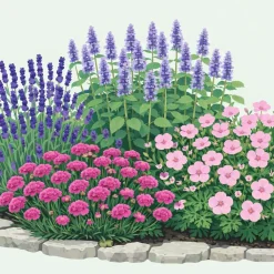Perennpaket Sommarkänsla*Omnia Garden Best