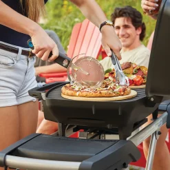PRO285-X Bärbar Grill med 2 Brännare & Gjutjärnsgaller*Napoleon Sale