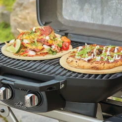 PRO285-X Bärbar Grill med 2 Brännare & Gjutjärnsgaller*Napoleon Sale