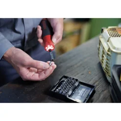 Speede Pocketdrive*Wiha Hot