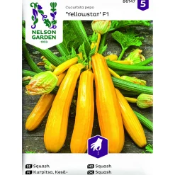 Squash Yellowstar F1*Nelson Garden New