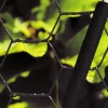 Svart*Hortus Online