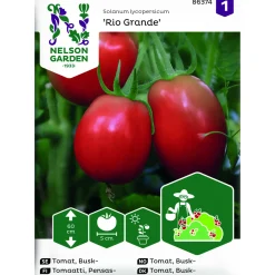 Tomat Rio Grande Busktomat*Nelson Garden New