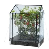 Transparent Plast, Passar till Odlingskrage - 80x120cm, Höjd 110/130 cm*Hortus