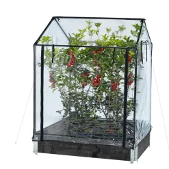 Transparent Plast, Passar till Odlingskrage - 80x120cm, Höjd 110/130 cm*Hortus