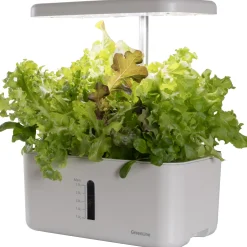 Urban Growing P8*GreenLine Outlet