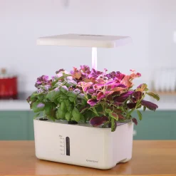 Urban Growing P8*GreenLine Outlet