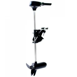 12V Saltvatten*GreatWhite Online
