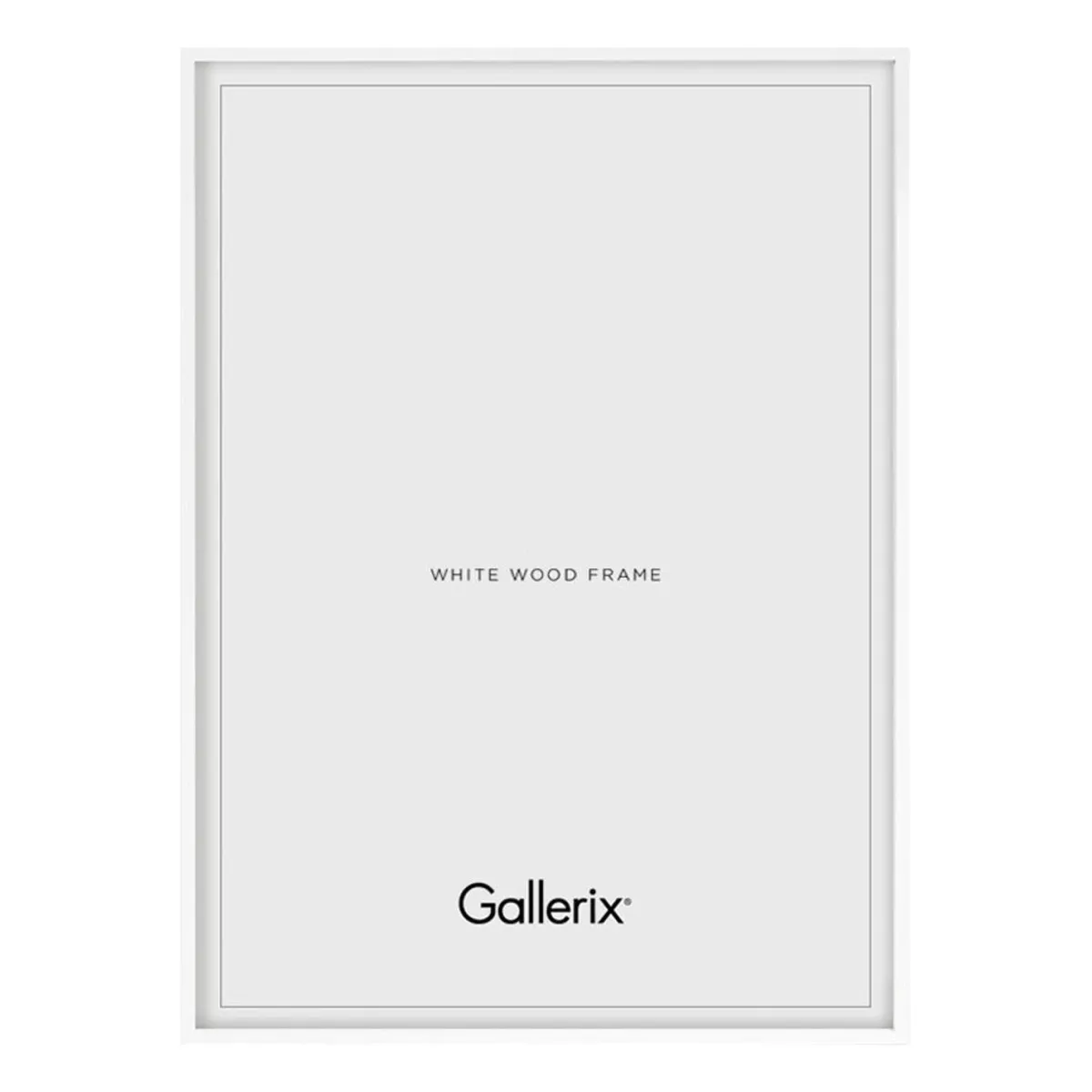 Vit*Gallerix