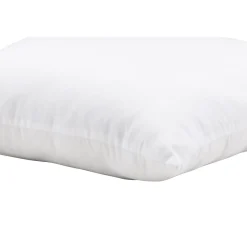 Wilma*Venture Home Online