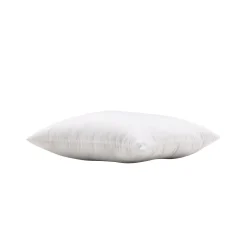 Wilma*Venture Home Online