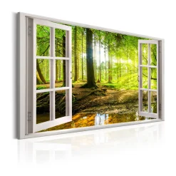 Window View On Forest*Arkiio