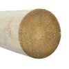 95x3000 mm 55 st Oimpregnerad*Fyrås Trä Discount